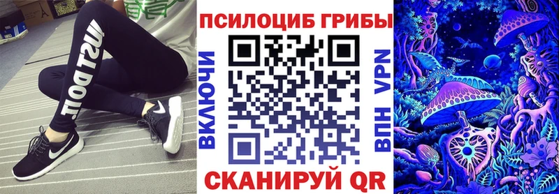 Галлюциногенные грибы Psilocybe  Купить закладки  Бобров 